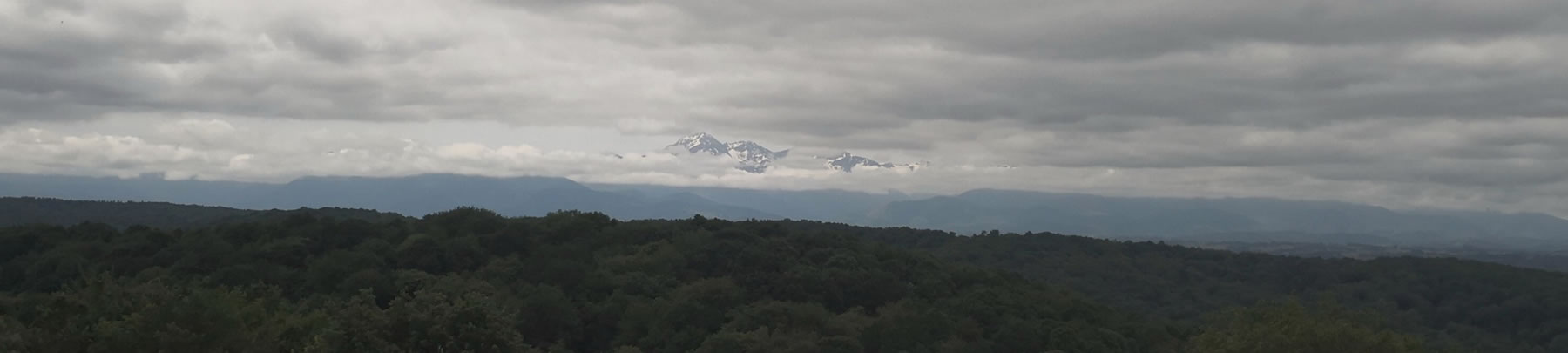 Banner showing snow capped peaks above clouds