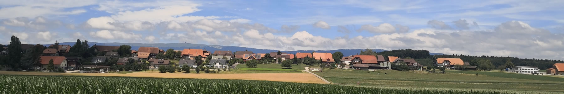 Banner showing view of picturesque Swiss village