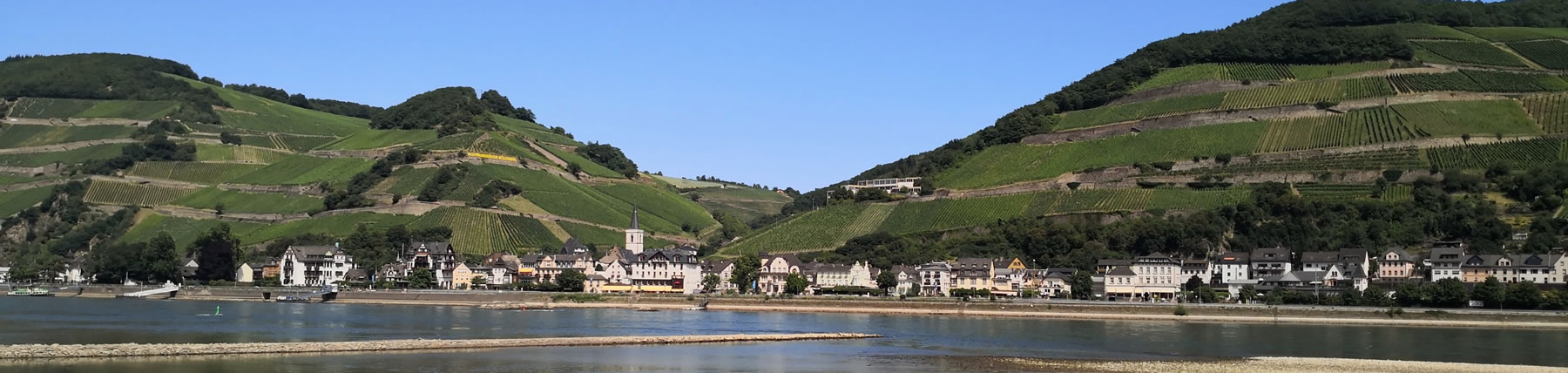 Banner showing view of vinyards on steep hills