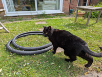 Old tyres inspected and rejected