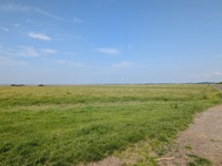 Solway marshes