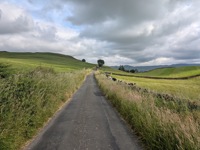 Perfect country lane