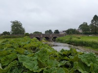 Nice bridge