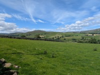 Typical view