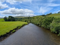 Swale