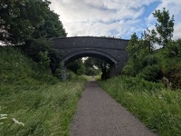 Early morning trail