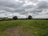Regular Derbyshire