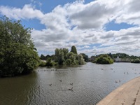 Derby River Gardens