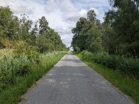 No hills here!