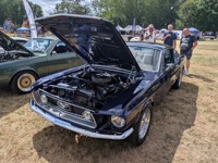 Mustang