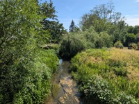 Inviting river